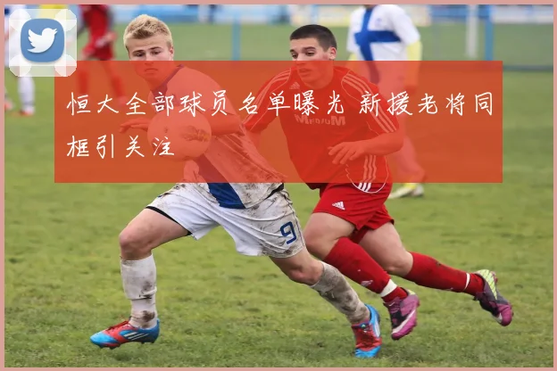 恒大全部球员名单曝光 新援老将同框引关注