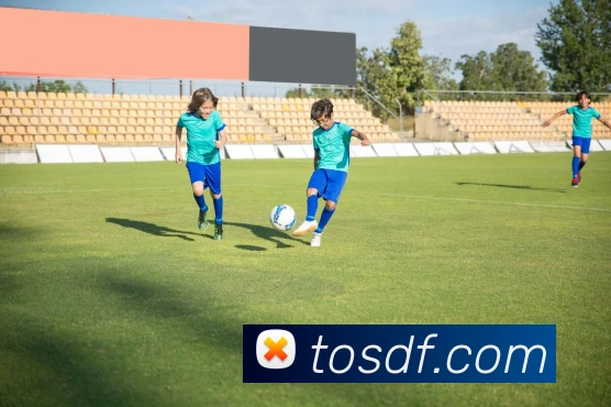 世界杯官方入口服务体系